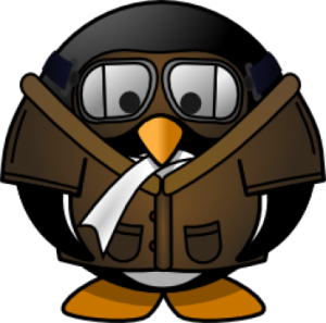 pilot_penguin_0